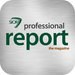 Professional Report